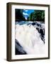 Water flowing from rocks in a forest, Buttermilk Falls, Raquette River, Adirondack Mountains, Ne...-null-Framed Photographic Print