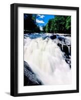 Water flowing from rocks in a forest, Buttermilk Falls, Raquette River, Adirondack Mountains, Ne...-null-Framed Photographic Print