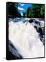 Water flowing from rocks in a forest, Buttermilk Falls, Raquette River, Adirondack Mountains, Ne...-null-Framed Stretched Canvas