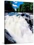 Water flowing from rocks in a forest, Buttermilk Falls, Raquette River, Adirondack Mountains, Ne...-null-Stretched Canvas