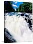 Water flowing from rocks in a forest, Buttermilk Falls, Raquette River, Adirondack Mountains, Ne...-null-Stretched Canvas