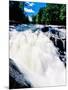 Water flowing from rocks in a forest, Buttermilk Falls, Raquette River, Adirondack Mountains, Ne...-null-Mounted Photographic Print