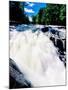 Water flowing from rocks in a forest, Buttermilk Falls, Raquette River, Adirondack Mountains, Ne...-null-Mounted Photographic Print