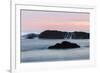 Water flowing off Seastack after waves crashing, Seal Rocks State Park, Oregon-Adam Jones-Framed Photographic Print