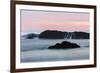 Water flowing off Seastack after waves crashing, Seal Rocks State Park, Oregon-Adam Jones-Framed Photographic Print