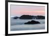 Water flowing off Seastack after waves crashing, Seal Rocks State Park, Oregon-Adam Jones-Framed Photographic Print