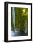 Water Flowing over Moss with a Sycamore Leaf, Kosjak Lake, Plitvice Lakes Np, Croatia, October 2008-Biancarelli-Framed Photographic Print