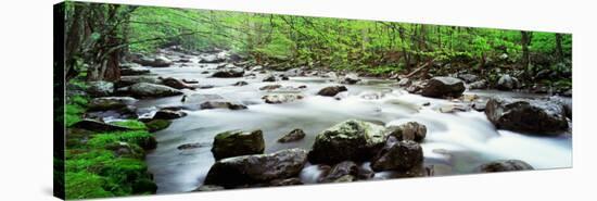 Water Flowing over Rocks, Little Pigeon River, Great Smoky Mountains National Park, Tennessee, USA-null-Stretched Canvas