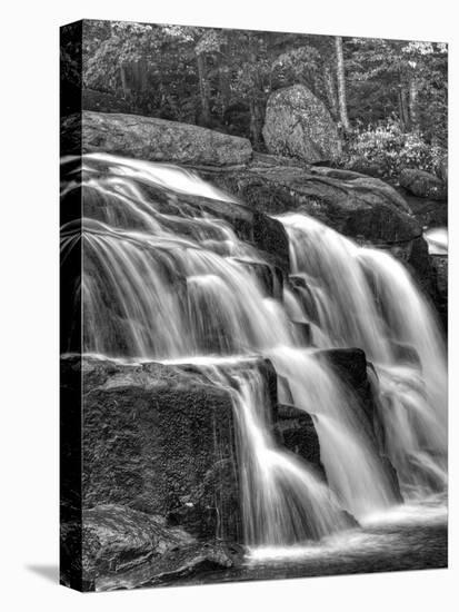 Water Flowing Over Rocks on a Waterfall-Rip Smith-Stretched Canvas