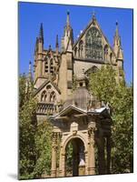 Water Fountain Near St. Mary's Cathedral, Central Business District, Sydney, New South Wales, Austr-Richard Cummins-Mounted Photographic Print