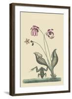 Water Frog-Mark Catesby-Framed Art Print