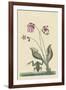 Water Frog-Mark Catesby-Framed Art Print