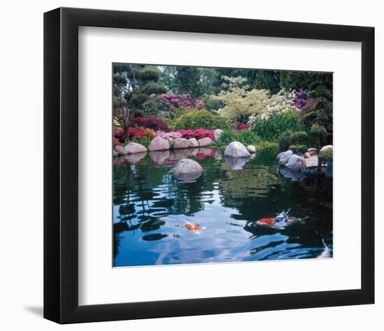 Water Garden I-null-Framed Art Print