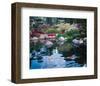 Water Garden I-null-Framed Art Print