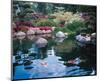 Water Garden I-null-Mounted Art Print