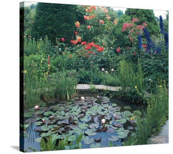 Water Garden II--Stretched Canvas