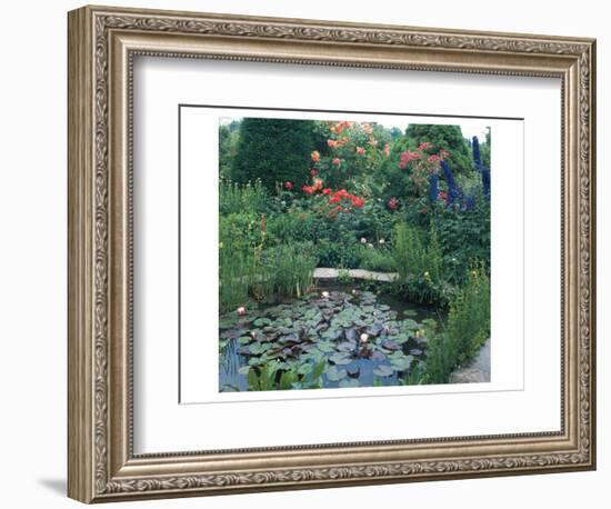 Water Garden II-null-Framed Art Print