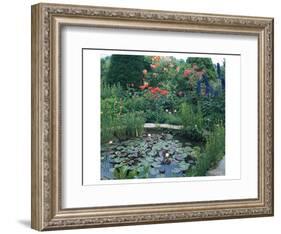 Water Garden II-null-Framed Art Print