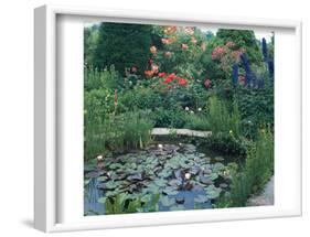 Water Garden II-null-Framed Art Print