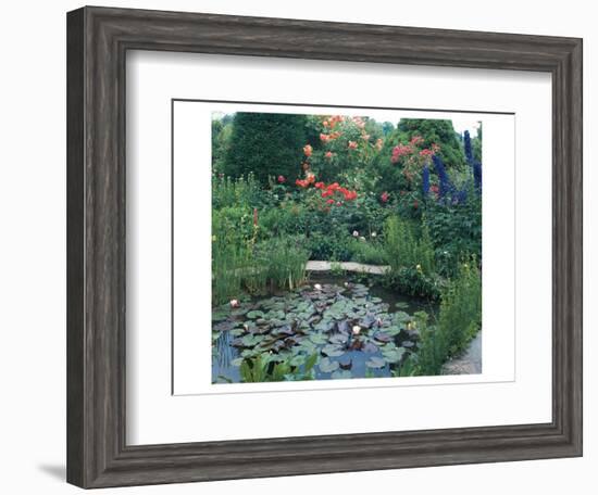 Water Garden II-null-Framed Art Print