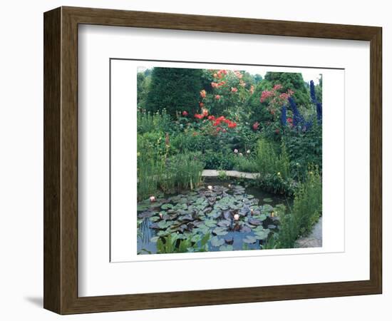 Water Garden II-null-Framed Art Print