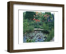 Water Garden II-null-Framed Art Print