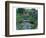 Water Garden II-null-Framed Art Print