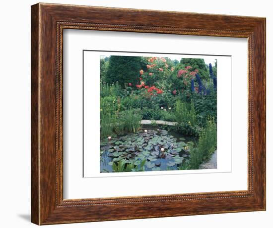 Water Garden II-null-Framed Art Print