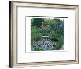 Water Garden II-null-Framed Art Print