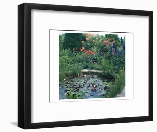 Water Garden II-null-Framed Art Print