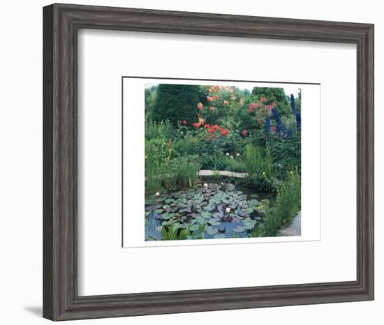 Water Garden II-null-Framed Art Print