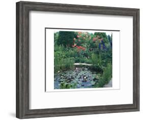 Water Garden II-null-Framed Art Print