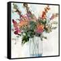 Water Garden Still Life I-Samuel Dixon-Framed Stretched Canvas