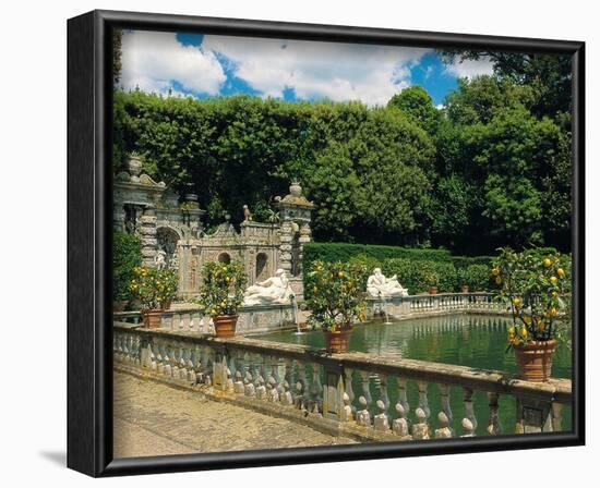 Water garden-null-Framed Art Print