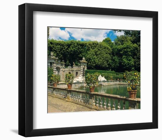 Water garden-null-Framed Art Print