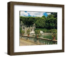 Water garden-null-Framed Art Print