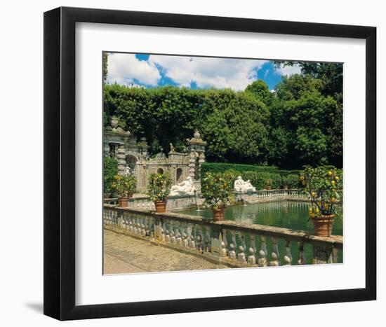 Water garden-null-Framed Art Print