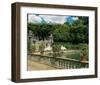 Water garden-null-Framed Art Print