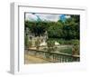 Water garden-null-Framed Art Print