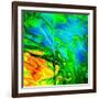 Water Garden-Ursula Abresch-Framed Photographic Print