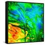 Water Garden-Ursula Abresch-Framed Stretched Canvas