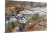 Water Garden-Childe Hassam-Mounted Premium Giclee Print