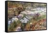 Water Garden-Childe Hassam-Framed Stretched Canvas