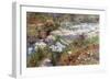 Water Garden-Childe Hassam-Framed Premium Giclee Print