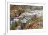 Water Garden-Childe Hassam-Framed Art Print