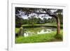 Water Gardens at Sigiriya Rock Fortress (Lion Rock)-Matthew Williams-Ellis-Framed Photographic Print