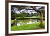 Water Gardens at Sigiriya Rock Fortress (Lion Rock)-Matthew Williams-Ellis-Framed Photographic Print