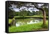 Water Gardens at Sigiriya Rock Fortress (Lion Rock)-Matthew Williams-Ellis-Framed Stretched Canvas