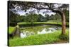 Water Gardens at Sigiriya Rock Fortress (Lion Rock)-Matthew Williams-Ellis-Stretched Canvas