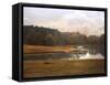 Water Gazebo-Jai Johnson-Framed Stretched Canvas